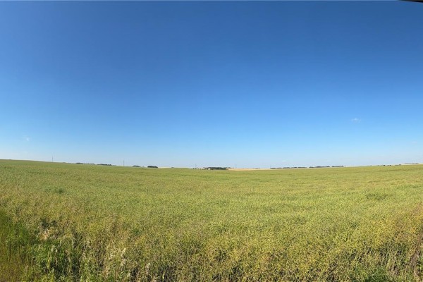 160 Acres "b" Soil Farmland Invergordon, Invergordon Rm No  430, SK, photo 3